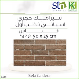 صورة بلاط جدران حجري 25×50 سم اسباني بيلا كالديرا
